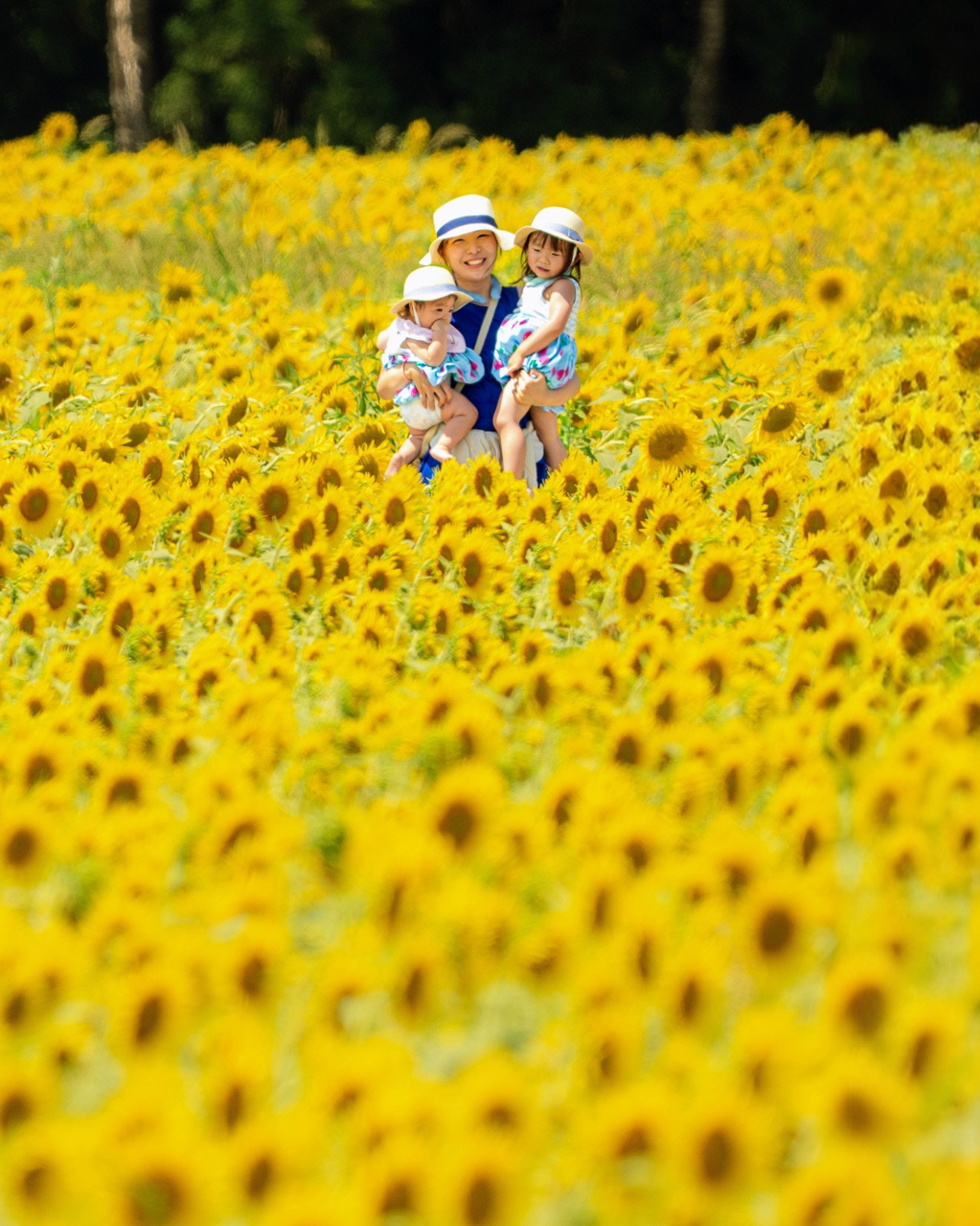 津南ひまわり広場写真コンテスト第17回（2025年）審査結果