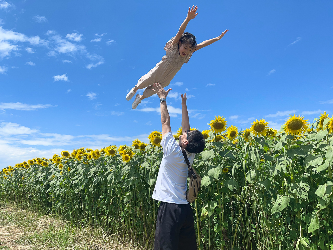 津南ひまわり広場写真コンテスト第17回（2025年）審査結果