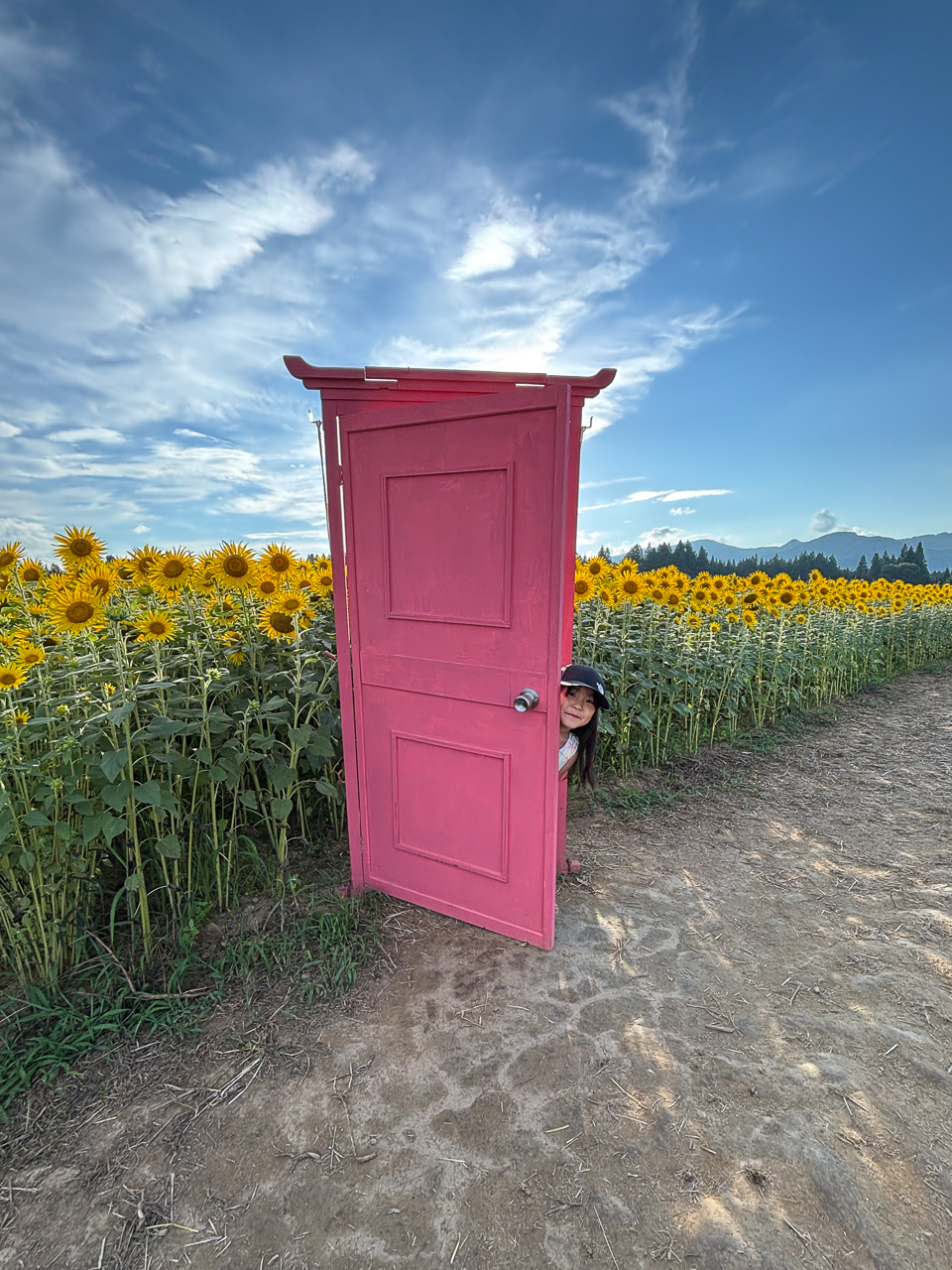 25日15時迄 【リピート ひまわり】Ms Gf 5 LnGn15 4点 1/12 KAWASAKI Ninja ZX-25R ライムグリーン×エボニー – SOOTANG HOBBY