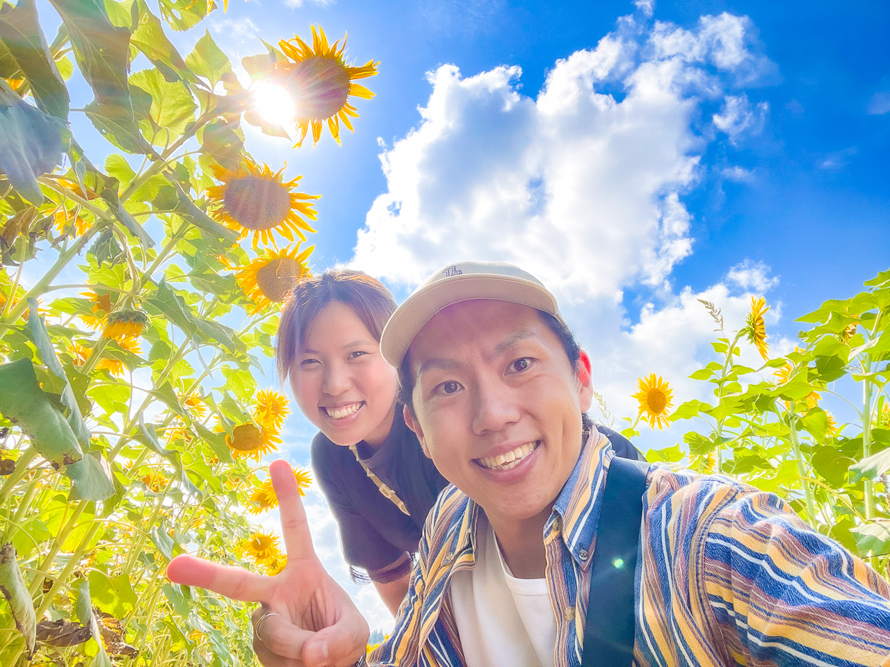 津南ひまわり広場写真コンテスト第17回（2025年）審査結果