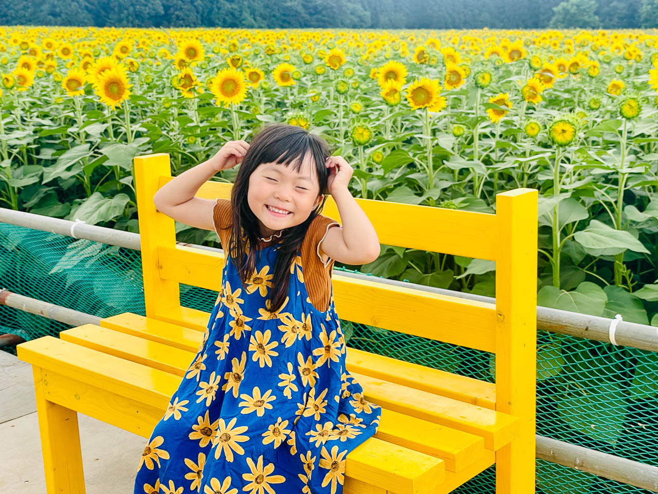 津南ひまわり広場写真コンテスト第18回（2026年）審査結果
