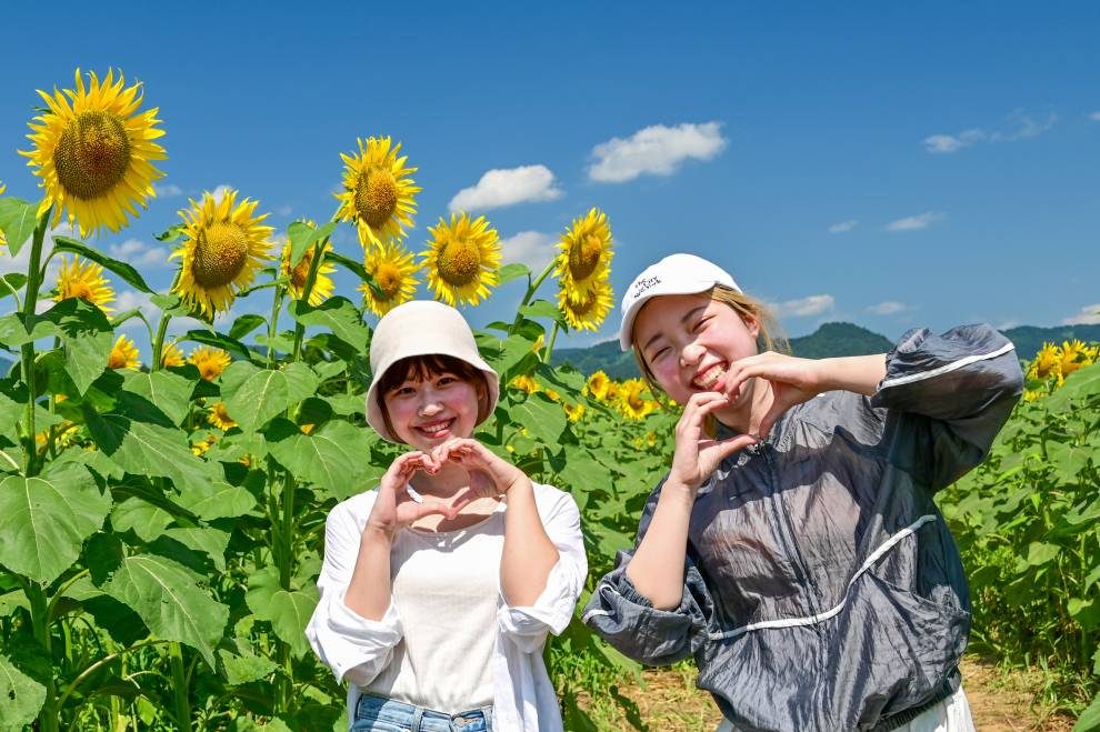 ひまわりさんご確認用 うごけ